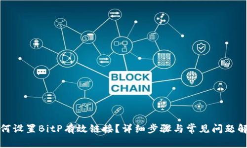 如何设置BitP有效链接？详细步骤与常见问题解答