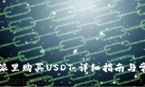 如何在比特派里购买USDT：详细指南与常见问题解答